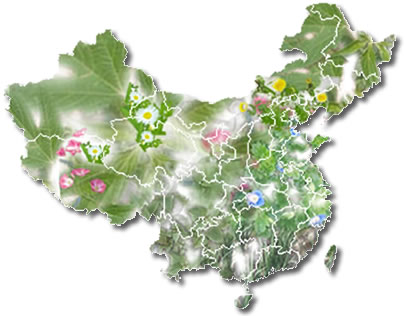�й���ͼ-Map of China
